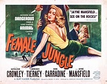 Female Jungle 1956 | Jayne mansfield, Movie lobby cards, Film noir