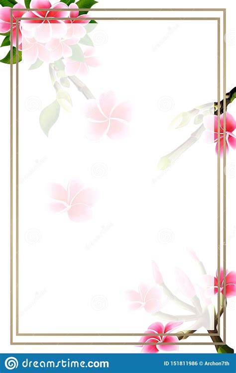 4 1/4 x 5 1/2 postcards; Download 29+ Plain Wedding Flower Plain Wedding Blank Background Wedding Invitation Card Design