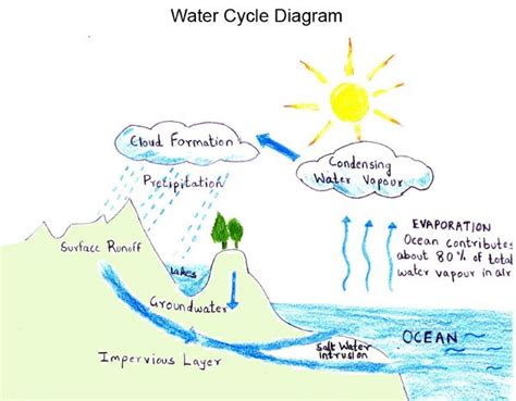 Cycle Water Cycle