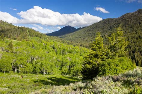 Putt Putt Trail Gros Ventre Mountains Free Roaming Hiker
