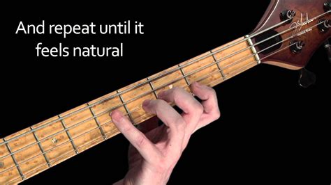 Beginner Bass Lessons 10 The Major Scale Learning Bass Guitar Lessons Songs Learn Bass Guitar