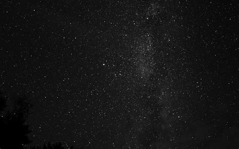 Na99 Night Sky Milkyway Tree Wood Nature Bw Dark Wallpaper