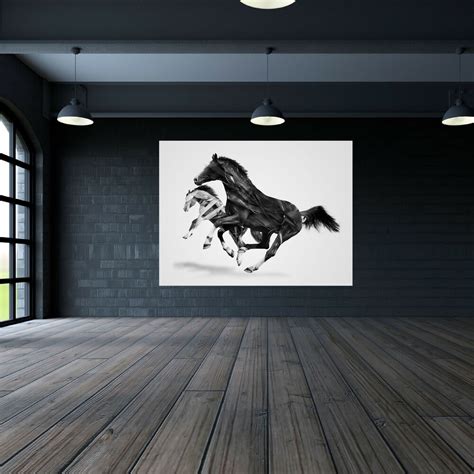 Black White Horse Canvas Home Fine Wall Art Prints Print