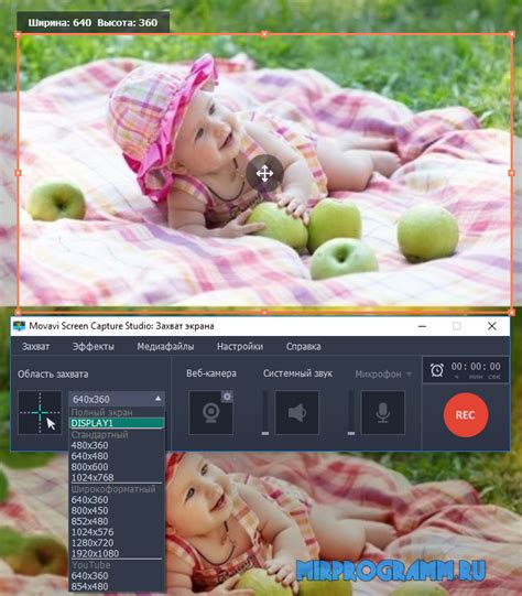 Movavi screen recorder capture screens in one click. Movavi Screen Capture Studio скачать бесплатно на русском