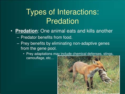 Ppt How Do Species Interact To Generate Stability In Ecosystems