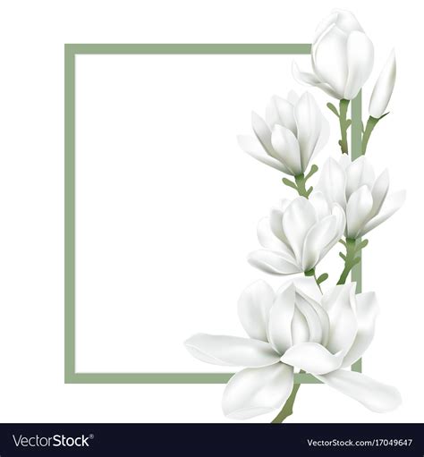 Frame With White Flower Royalty Free Vector Image