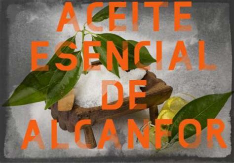 Aceite Esencial De Alcanfor O Palo De Ho Propiedades Y Usos