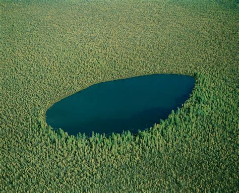 The Boreal Forest Canada Amazing Places