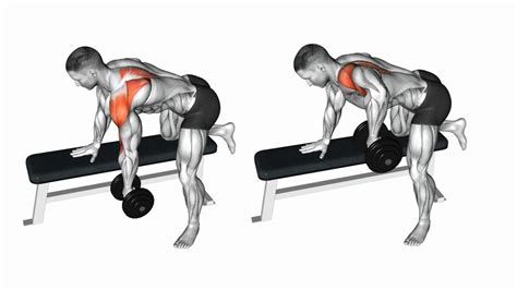 25 Best Rear Delt Exercises For Mass And Strength