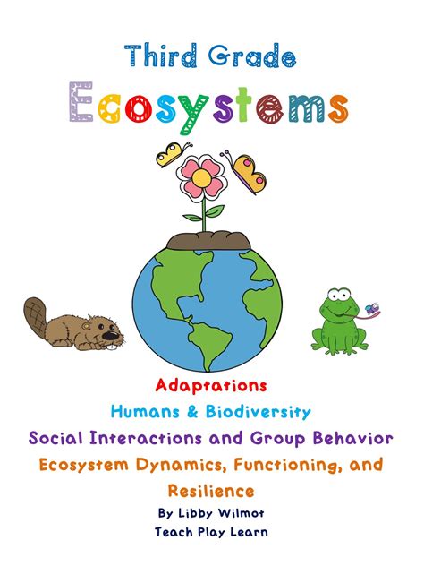 Ecosystems Worksheets For 3rd Grade