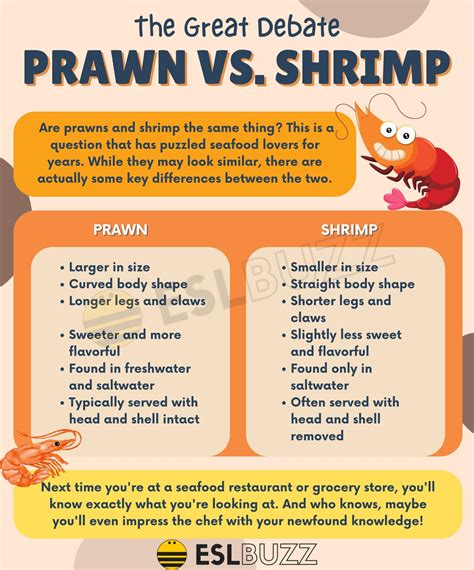 Prawn Vs Shrimp What S The Difference And Which One Should You Choose