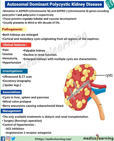 Autosomal Polycystic Kidney Disease Medicolearning