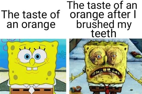 53 Relatable Memes That Are As Funny As They Are True Funny Gallery Ebaums World