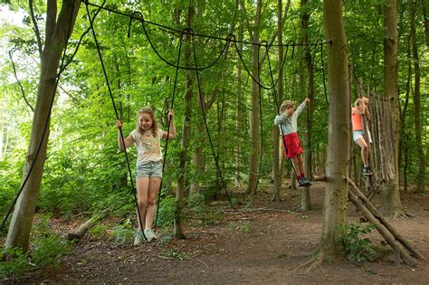 Het Belevenissenbos In Lelystad Herbergt 40 Hectare ‘natuurlijk Spelen Het Bos En De
