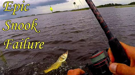 Epic Snook Failure Florida Kayak Fishing Youtube