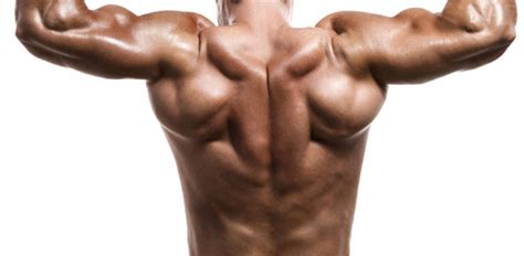 It's surprisingly hard to tell. Which is the strongest muscle in the human body ...