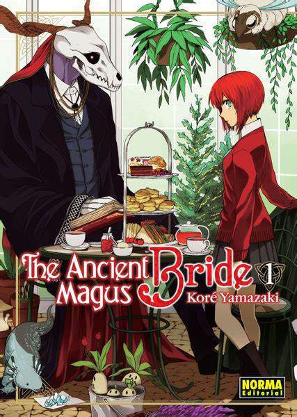 Mahou Tsukai No Yome Mahou Tsukai No Yome Wiki Fandom