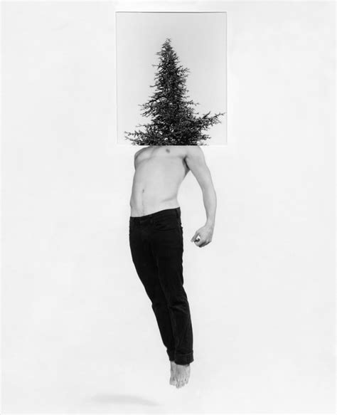 Alexandra Bellissimo Human And Nature Collages