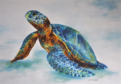 Sea Turtle Watercolor Paintings