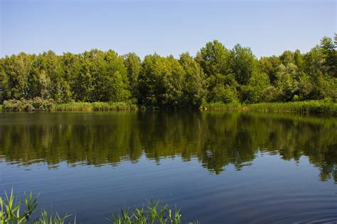 Free Photo Nature Summer Green Sky Belarus Free Image On Pixabay