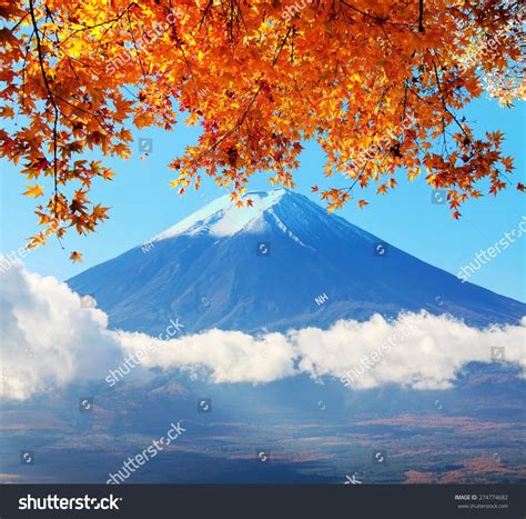 Mt Fuji Fall Colors Japan Adv Stock Photo 274774682 Shutterstock