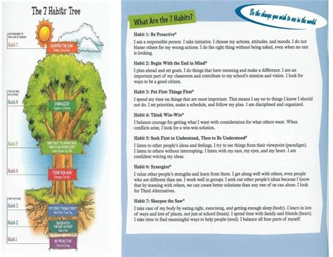 Providing you with an educational program and activity book that gives your child helpful initiative and our keep yourself/your kids safe and secure. Website for a Lighthouse school-videos for each habit | 7 ...