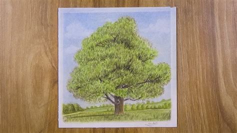 Drawing A Tree With Simple Colored Pencils Faber Castell Youtube