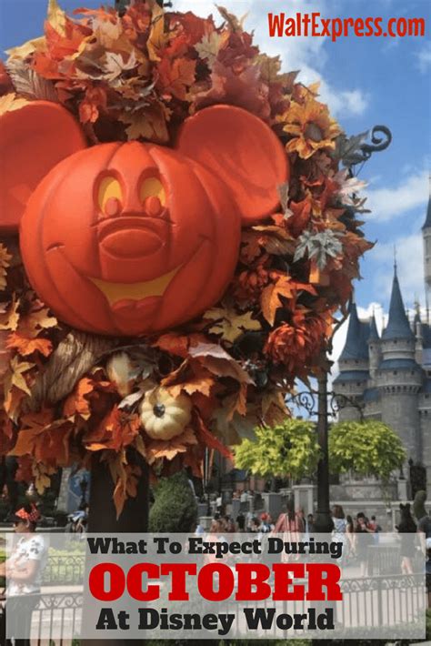 What To Expect In Disney World During The Month Of October Disney