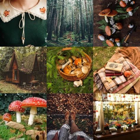 Cottage Core Aesthetic Core Aesthetic Nature Aesthetic Aesthetic