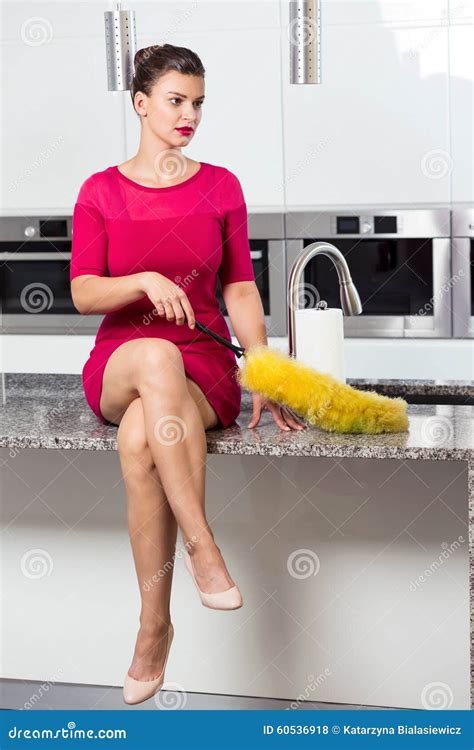 Einsame Perfekte Hausfrau Stockfoto Bild Von Fahrwerkbein 60536918
