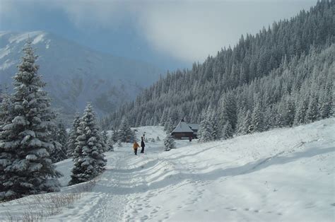 Snowy Paradise In Tatra Mountains With A Horse Sleigh