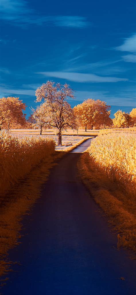 Road Autumn 4k Iphone Wallpapers Free Download