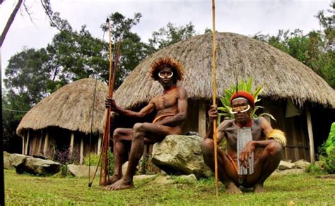 Rumah Adat Provinsi Papua Pewarta Nusantara