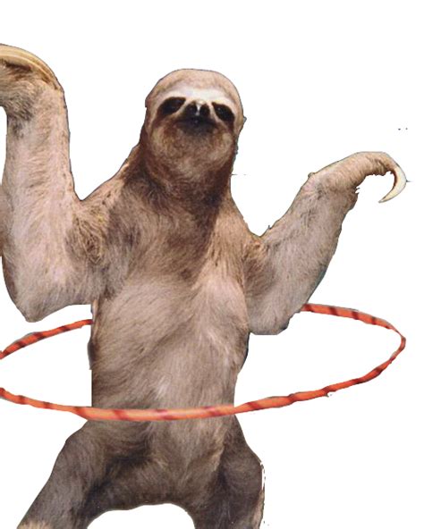 Sloth Png Hd Png All Png All