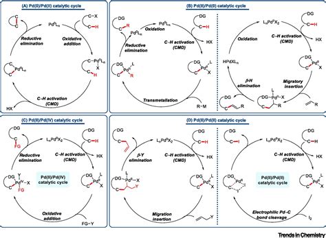 Palladium Catalyzed Enantioselective Ch Functionalization Via Ch Palladation Trends In Chemistry