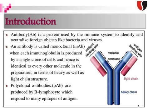 Recombinant Antibody Advantages And Disadvantages - monoclonal antibodies and engineered antibodies