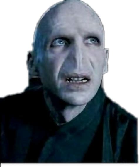 Voldemort Freetoedit Voldemort Sticker By Selingunes1112
