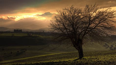 Wallpaper 1920x1080 Px Clouds Field Landscape Mist Morning