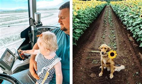 Your instagram best nine 2019 will be arranged in such an order that the top 9 instagram photos will be displayed in a single photograph. Ag on Instagram: The best farm photos from May 31, 2019 ...