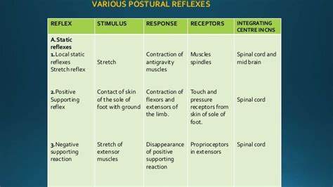 Postural Reflexes Physiology