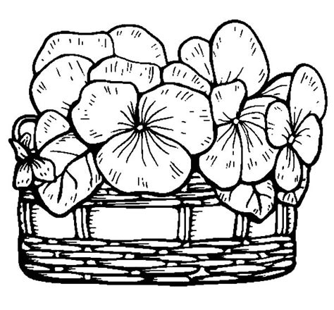 Filling Basket Of Flowers With Fresh Flowers Coloring Pages Best