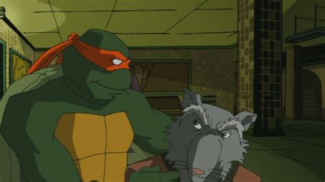 Watch Teenage Mutant Ninja Turtles Season 3 Episode 7 Touch And Go