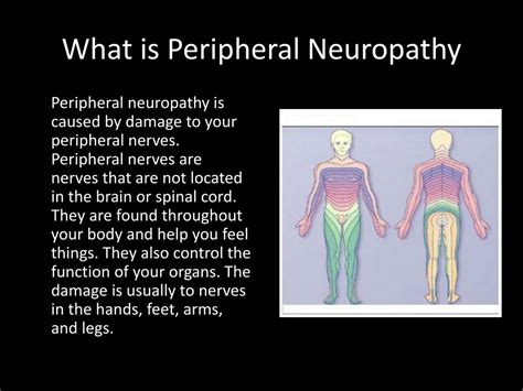 Ppt Peripheral Neuropathy Powerpoint Presentation Free Download Id