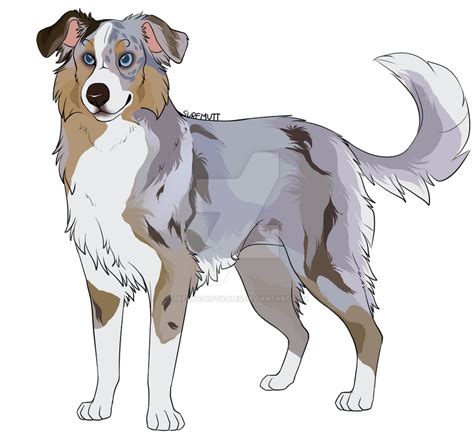 Australian Shepherd Adoptable Moved By Peelyadoptables On Deviantart