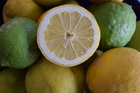 Free Picture Citrus Food Fruit Lemon Fruit Juice Vitamin Diet