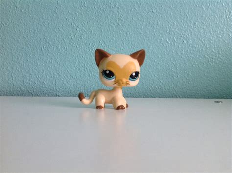 My New Lps Cat By Gabigr575 On Deviantart