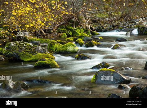 Bear Creek Hi Res Stock Photography And Images Alamy