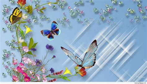 Beautiful Butterfly Wallpaper 58 Pictures