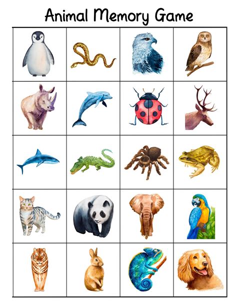 Free Printable Animal Picture Cards
