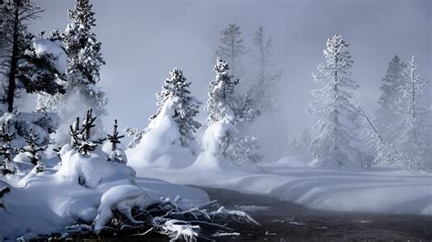 Download Winter Scenes Wallpaper The Galleries Of Hd By Annathomas